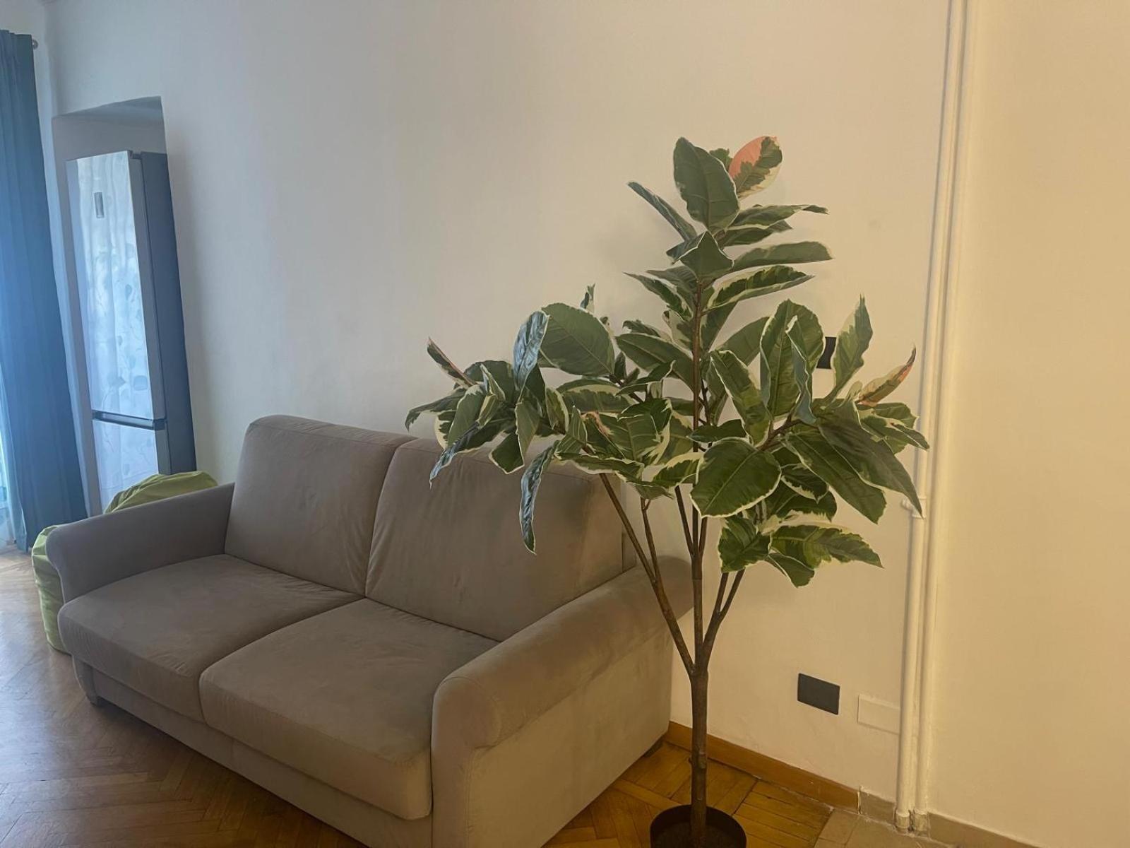 Torino Natura In Centro Eksteriør billede