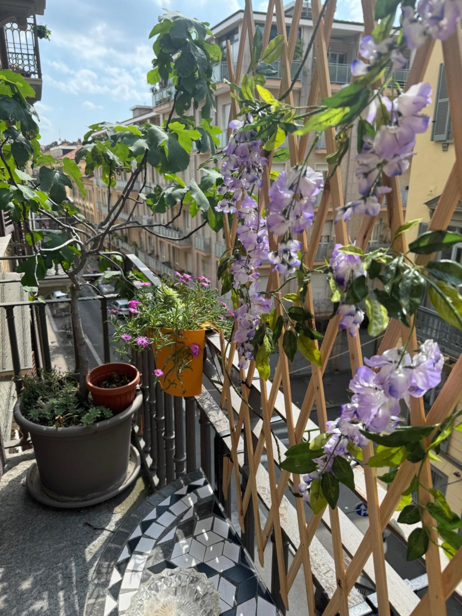 Torino Natura In Centro Eksteriør billede