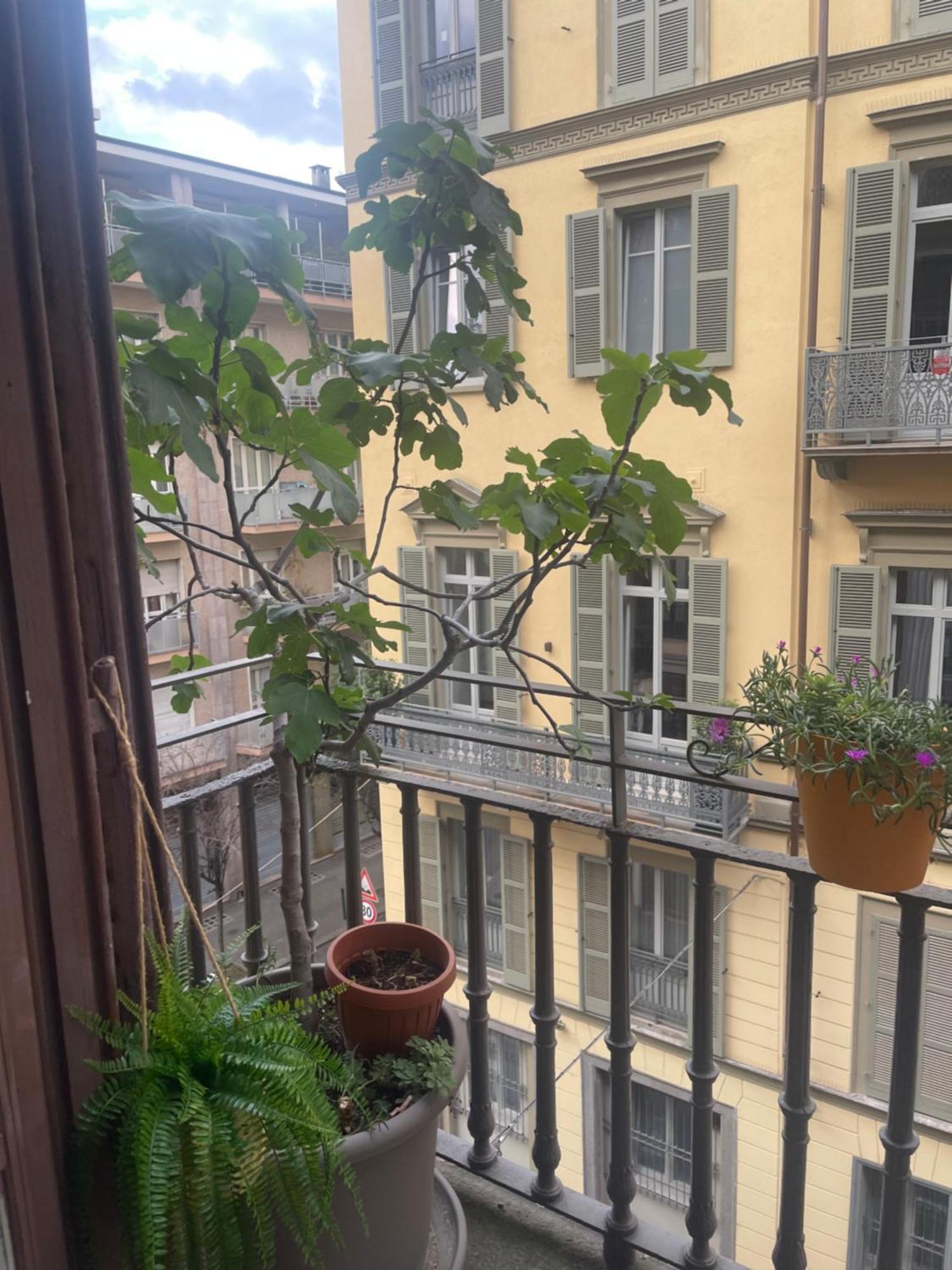 Torino Natura In Centro Eksteriør billede